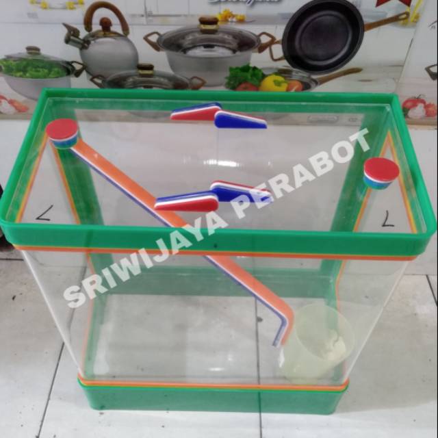 Aquarium Es Kelapa/ Aquarium Es Buah ukuran Jumbo