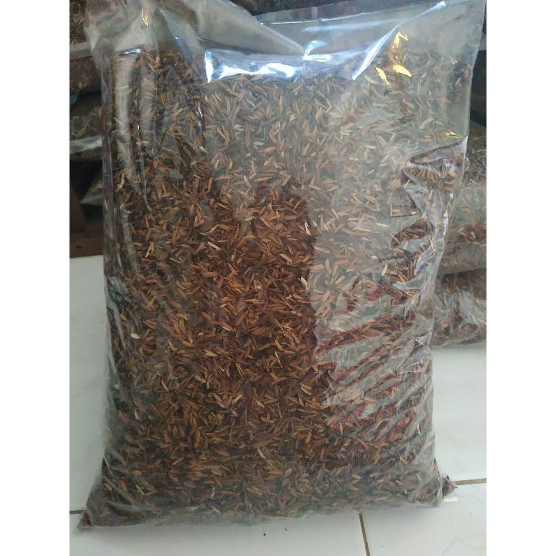 MEDIA TANAMAN SEKAM SANGRAI