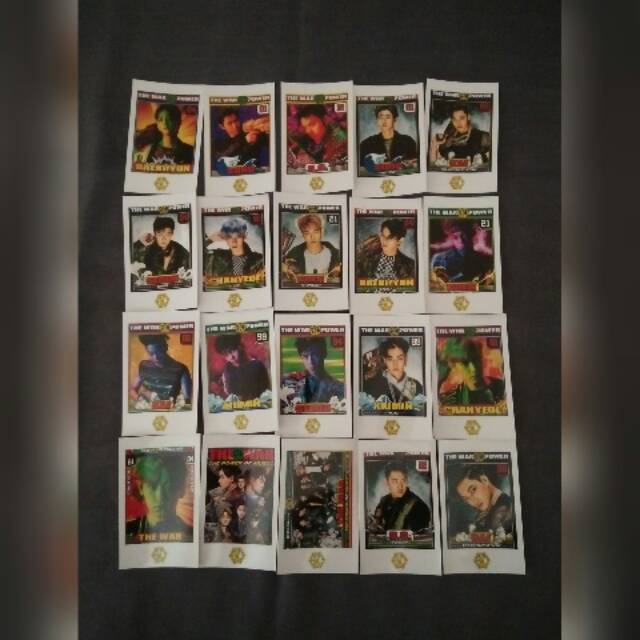 Polaroid EXO Power