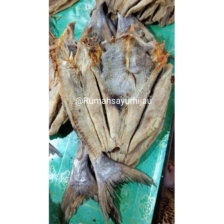 

Ikan Asin Otek / Ikan Asin Jembal Roti Berat 500 Grm