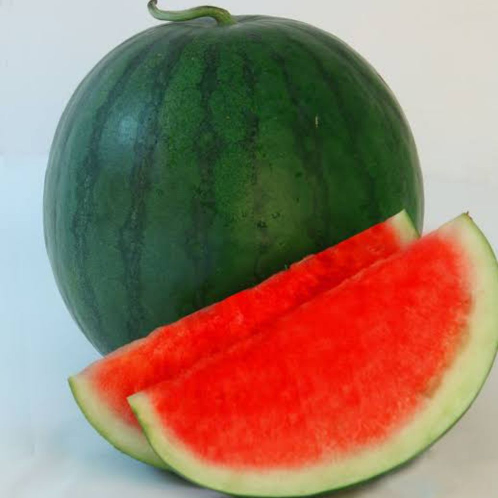 10 bibit Semangka unggul tanpa biji