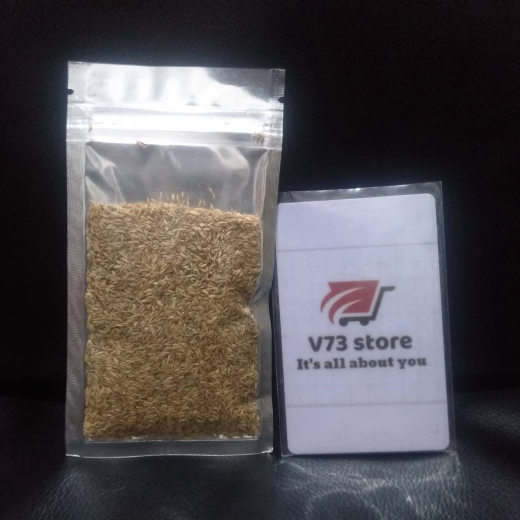 BIBIT SMALL FESCUE 8GR TANAMAN AQUASCAPE BIBIT CARPET SEED