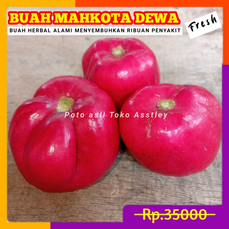 Jual Buah Mahkota Dewa Segar 1kg Shopee Indonesia