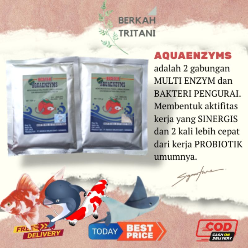 Jual Obat Ikan Boster Aquaenzyms 100 Gram Probiotik Pengurai Sisa