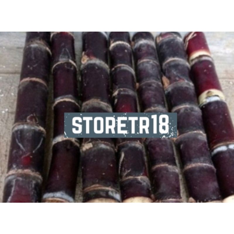 Jual Batang Tebu Hitam Atau Tebu Ireng Asli 1 Kg Shopee Indonesia 