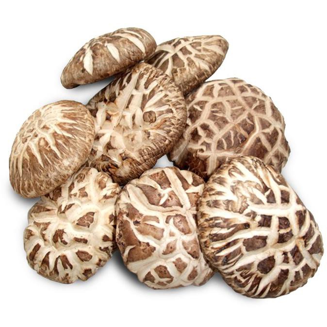

Big Sale Jamur Shitake Xiang Gu Hioko Fragrant Mushroom 100 g Cuci Gudang Awal Tahun