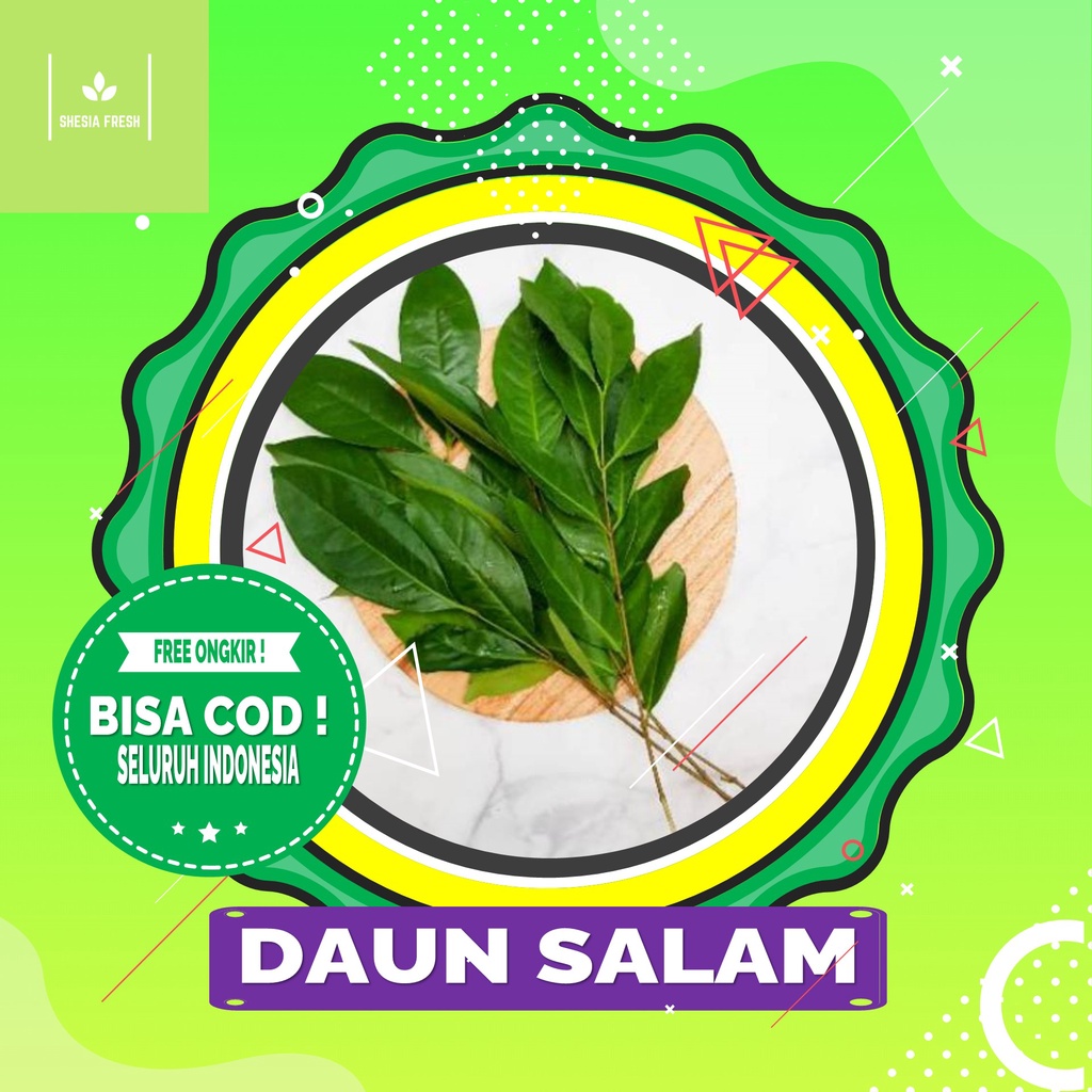 

Shesia Fresh - Daun Salam Organik Per Pack