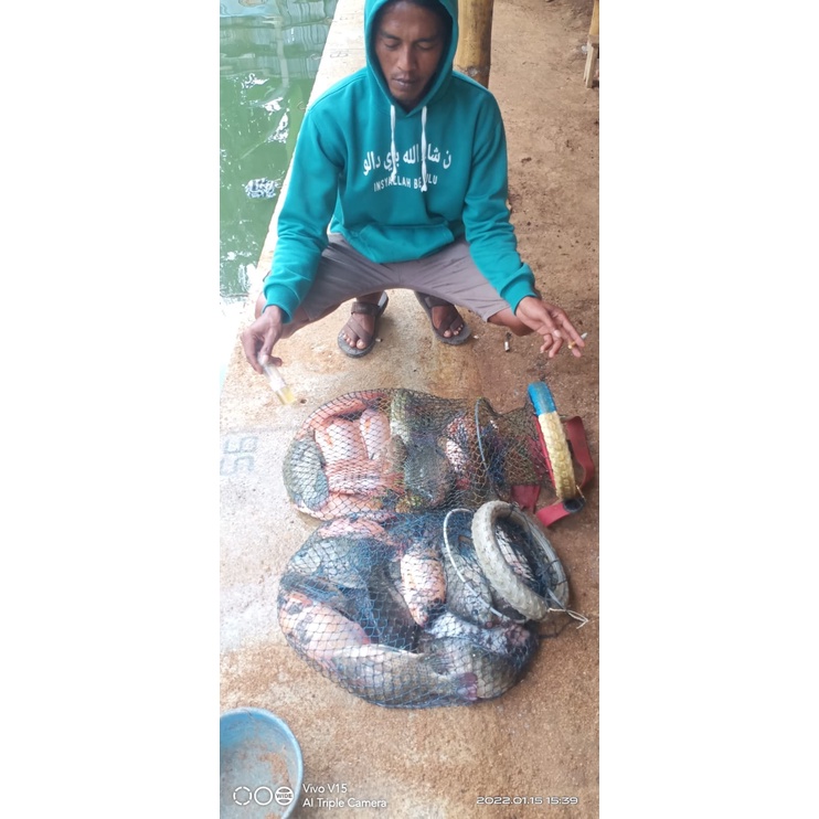 Pelet dan Essen Hadziq Buat Umpan Ikan Nila Jaer dan Ikan Mas Atau Tombro Asli Original 100%