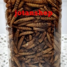 kaya maggot extra astaxanthin ulet ulat kering dry magot larvae pakan makanan ikan hias predator reptil