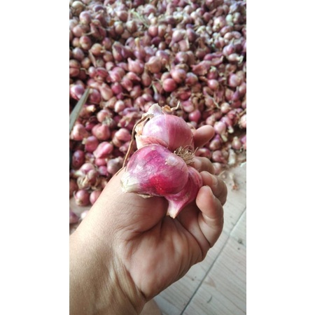 

BAWANG MERAH 1KG