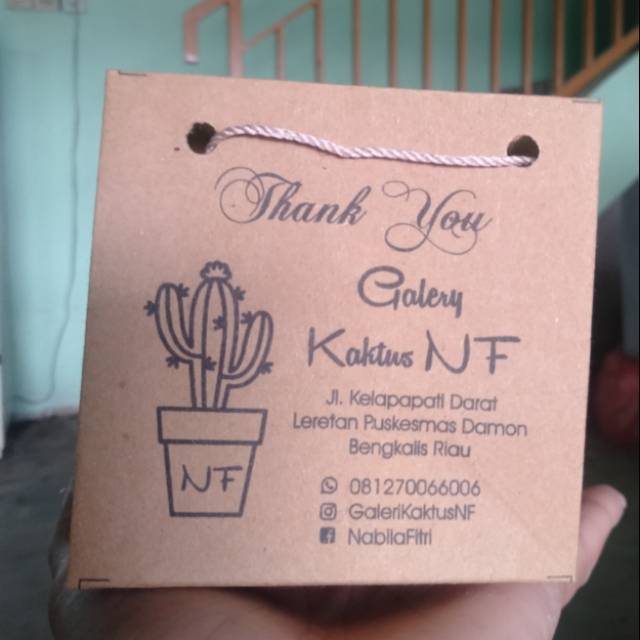 

Paperbag cactus/sukulen