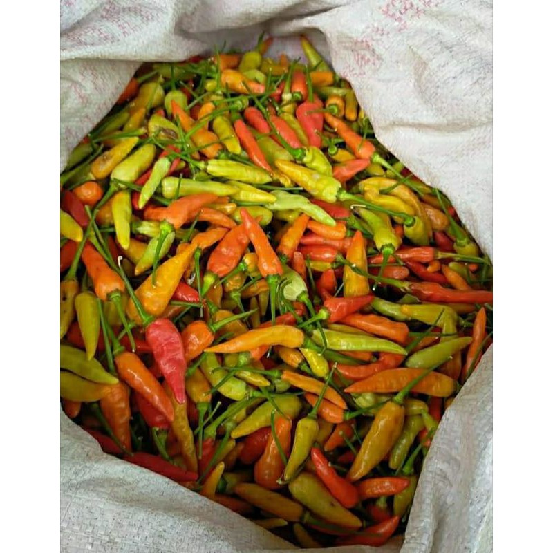 

Cabe Rawit merah Lembang 250gr/Sayur segar