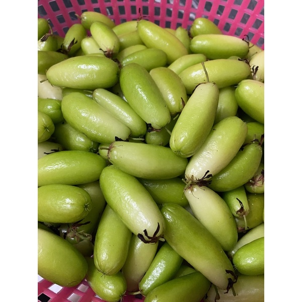 

Belimbing Sayur Segar | Belimbing wuluh | Belimbing 200gr Petik Langsung | Penyedap Rasa Masakan