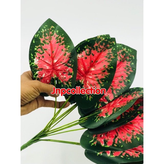 Daun plastik tangkai daun srirejeki merah