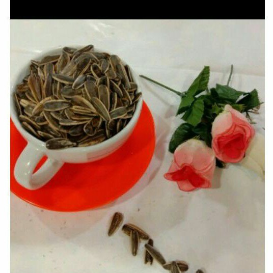 

Kuaci rebo 250 gr