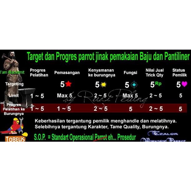 Baju Parrot burung ukuran S Cockatiel, Ysc, Peach conure, Jalak