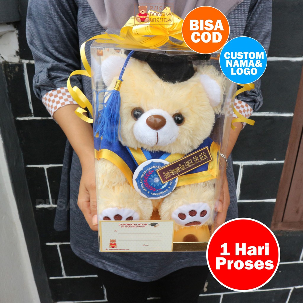 Boneka Wisudah Tedy Bear Sedang Custom Ada Nama Mika Tedy Kado Wisuda Hadiah anak SMP SMA Grosir TK