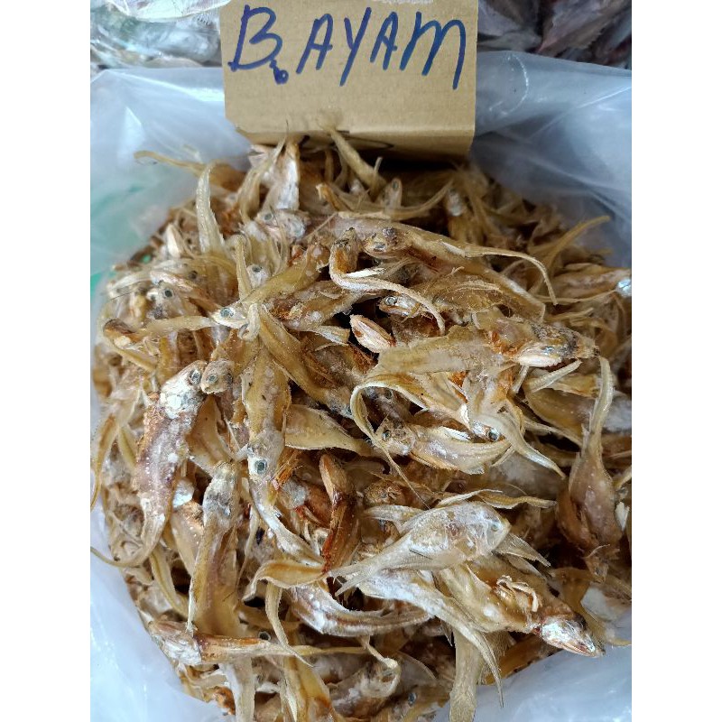 

(200g) Ikan Asin Bulu Ayam Kurang Asin / Ikan Bulu Ayam Asin / Ikan Asin Pontianak