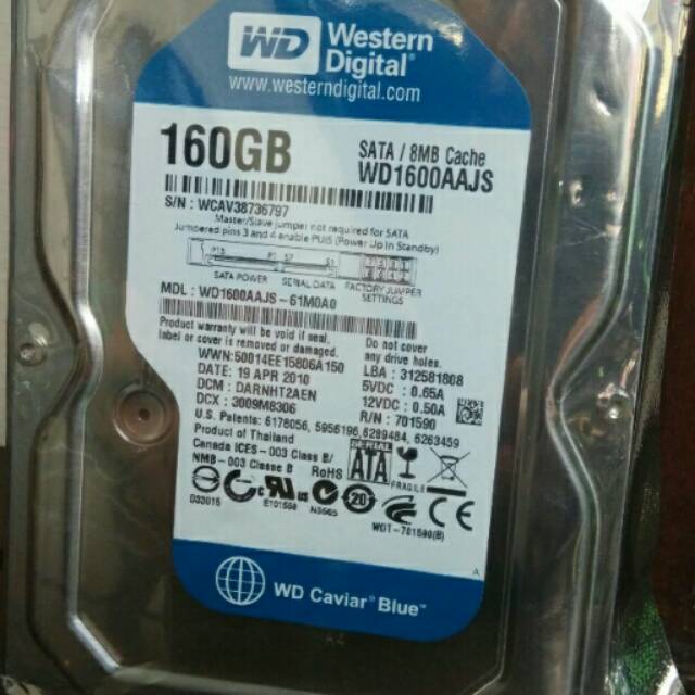 Harddisk WD Blue 160GB Internal PC