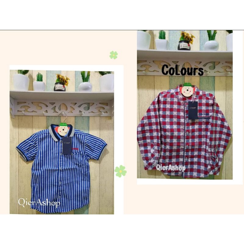 Kemeja anak laki laki colours in/colours/DYL kids icon