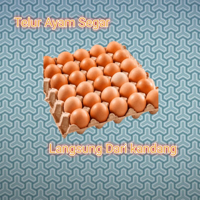 

Telur Ayam