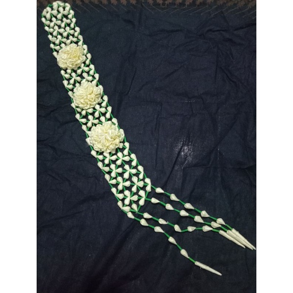 Melati Tibododo Panjang (dewasa)