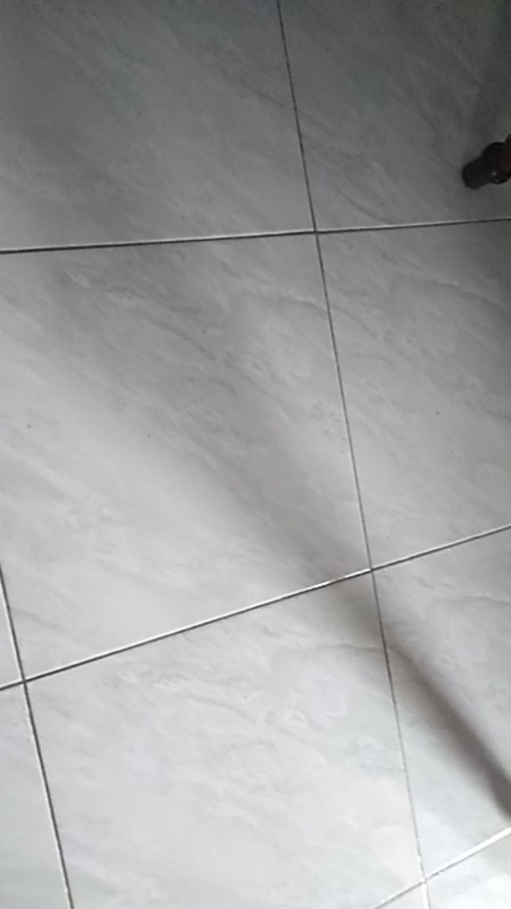 Thinwall Bulat 200ml/cup Salad/cup Puding Isi 25bj