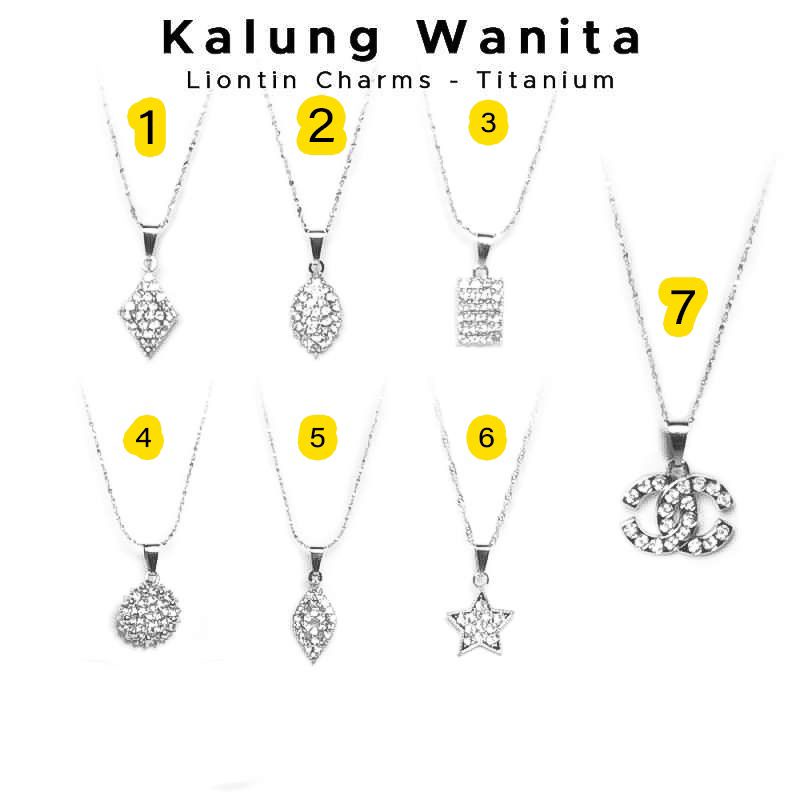 KALUNG WANITA FREE LIONTIN CHARMS BERKILAU - TITANIUM