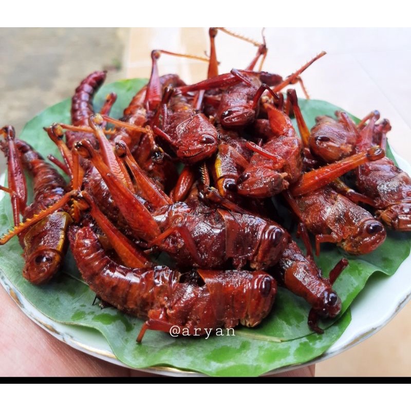 

belalang/simeut/walang besar goreng oleh2 tradisional majalengka