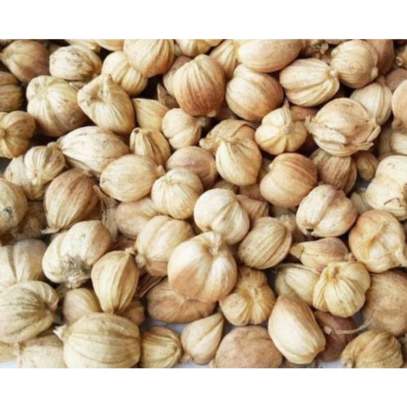 

kapulaga ,kapolaga 250gram