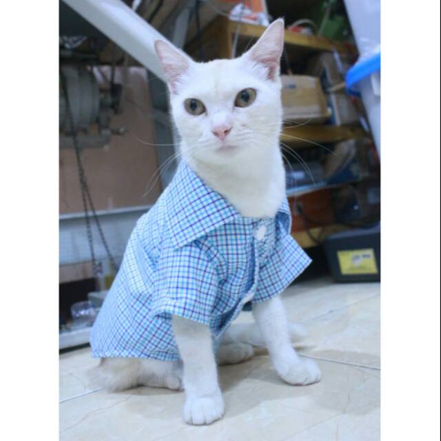 Kemeja kotak-kotak biru laut lucu untuk kucing dan anjing size S M L XL