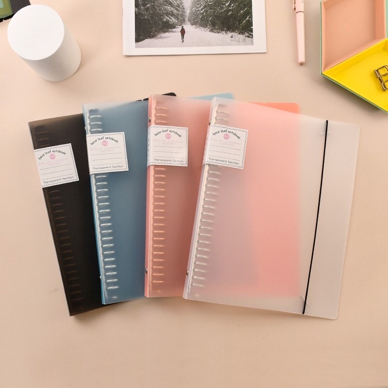 binder custom 12 sleeve