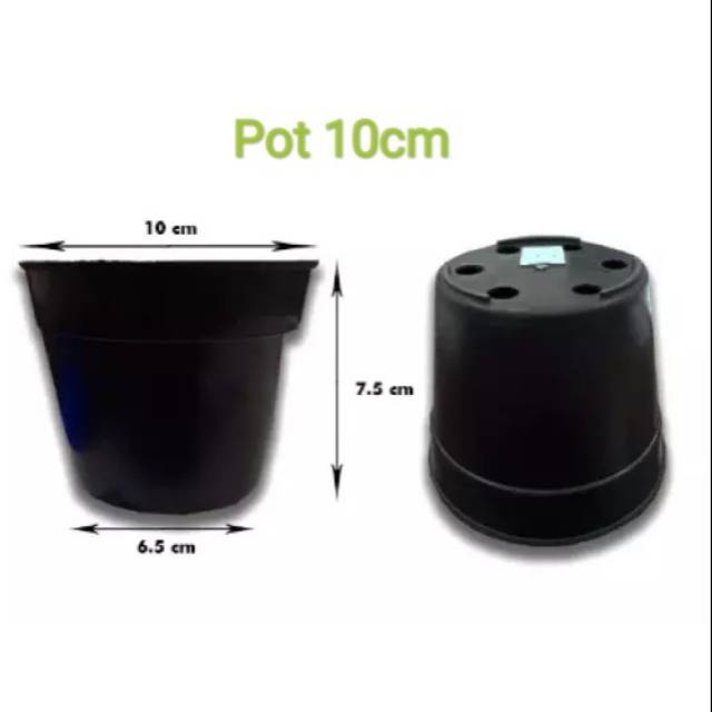  Pot  Plastik  Hitam ukuran  10cm Pot  Bunga Pot  Kaktus 