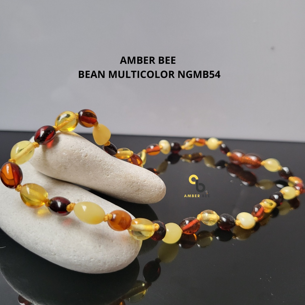 Kalung Amber Anak Premium Glossy Multicolor Beans NGMB54 By Amber Bee