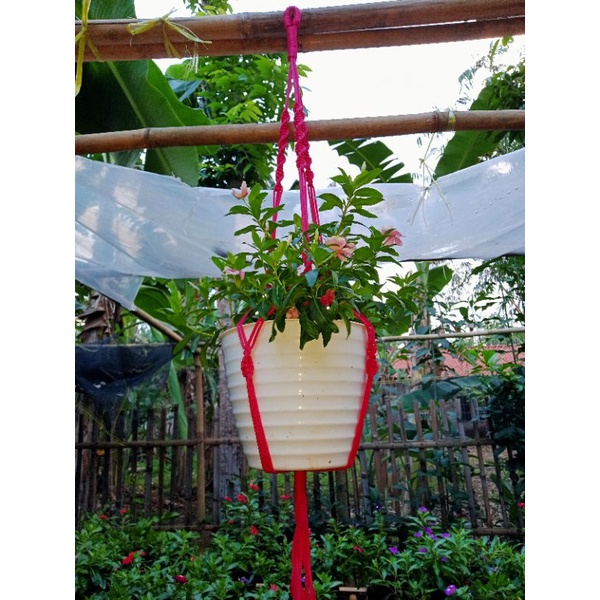 gantungan pot tali kur