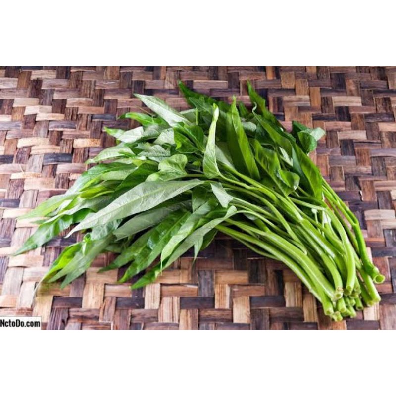 

Sayur Kangkung 5 ikat 400