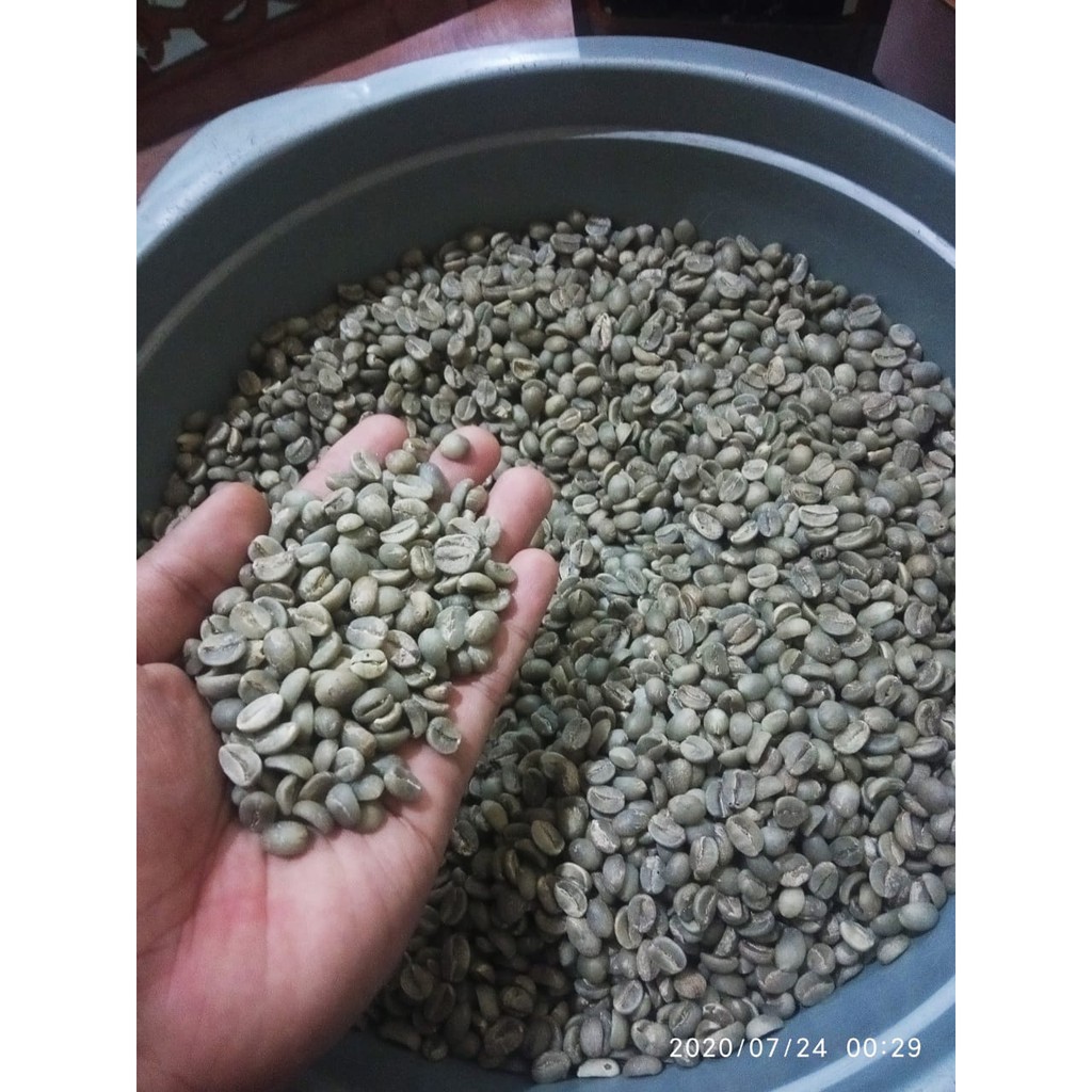 

BIJI KOPI Luwak