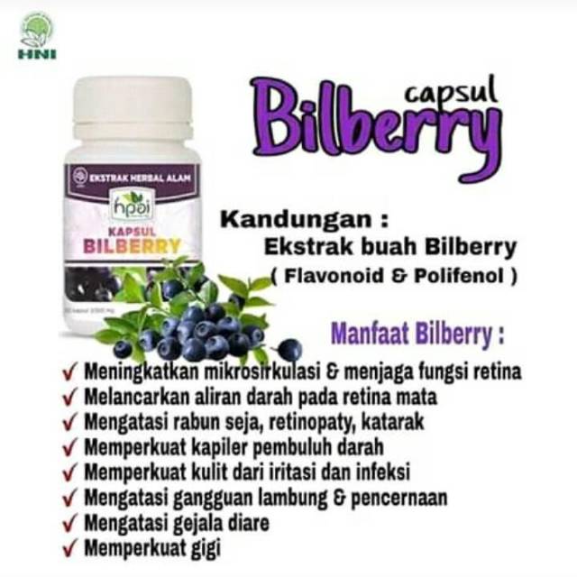 

Bilberi