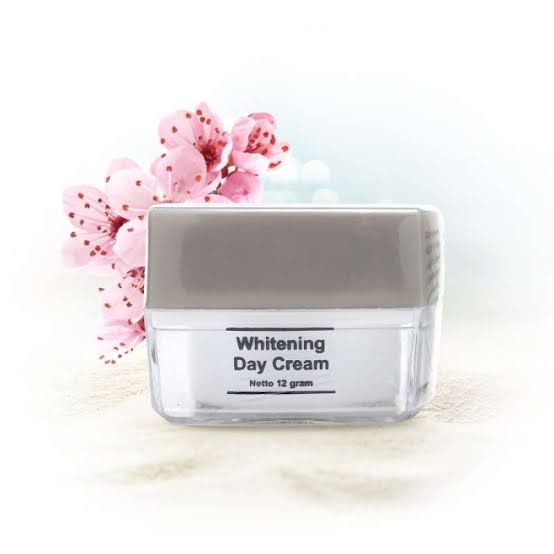 DAY CREAM MS GLOW/KRIM SIANG MS GLOW