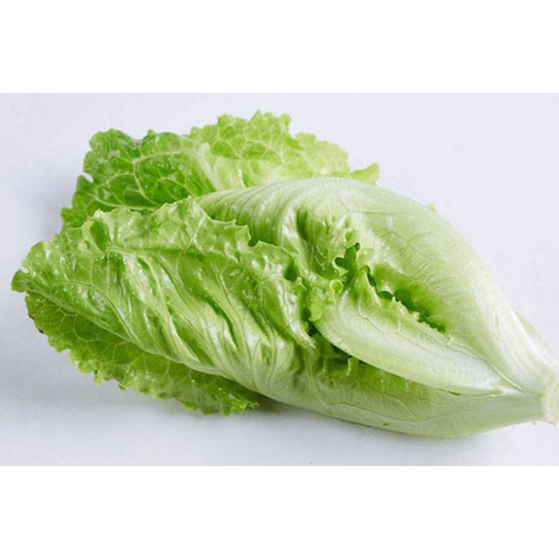 

sayur hijau