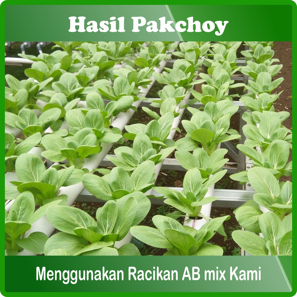 AB Mix 2 L Serbuk Pupuk Nutrisi Hidroponik Sayuran Daun 400 Liter