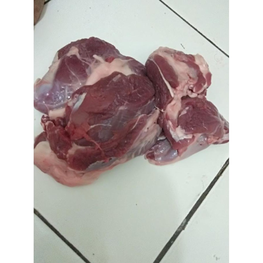 

TERLARIS! daging murni kambing biasa
