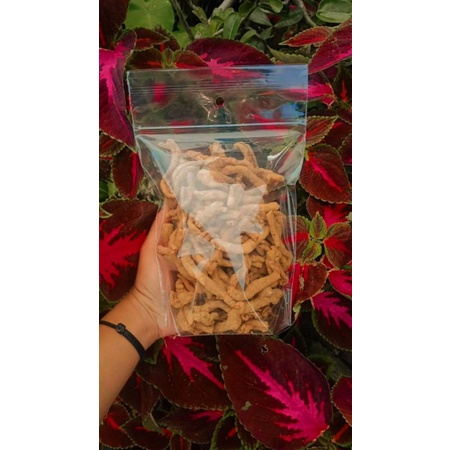 

Usus ayam goreng