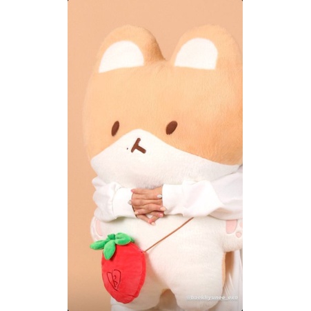 Teolaegi by Baekhyun 80 cm