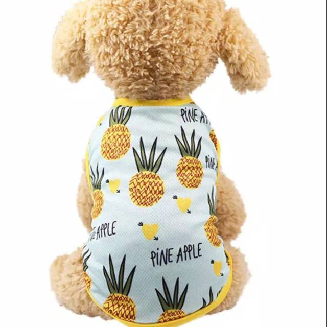 Baju kucing/puppy jantan