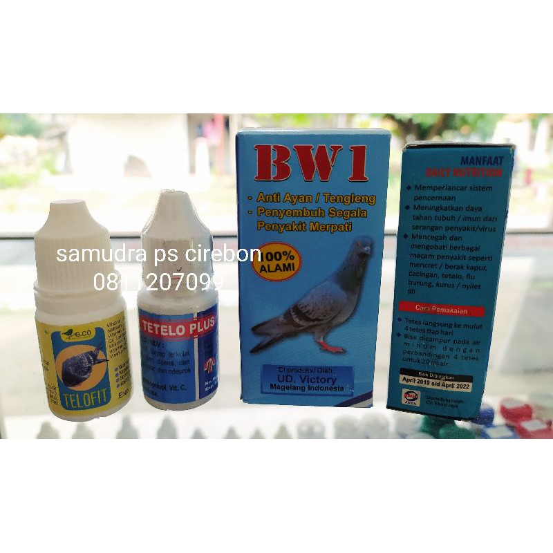 Obat Tetelo Tengleng Telo Merpati 4 Product