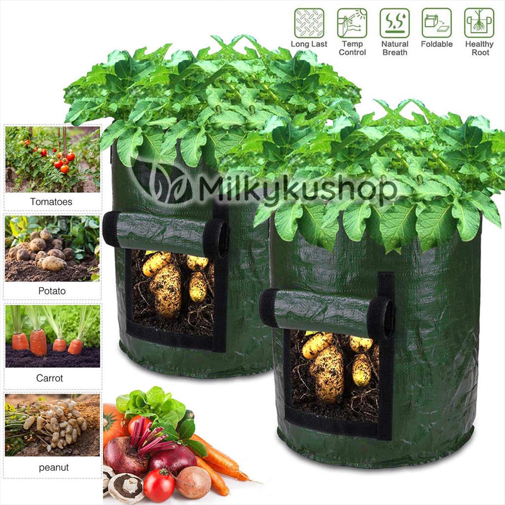 RHIZOMA PLANTER BAG EASY GROW LARGE - L - HIJAU