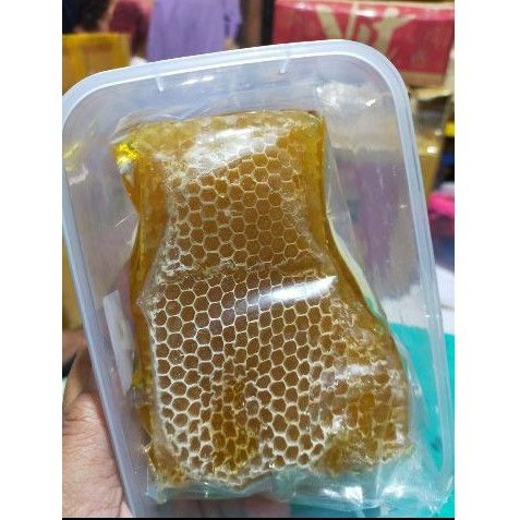 

madu sarang