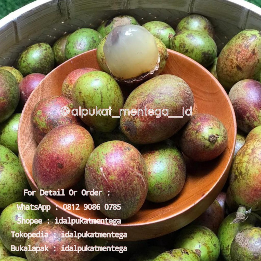 BUAH MATOA FRESH / Matoa Kelapa / Matoa Manis 1 kg