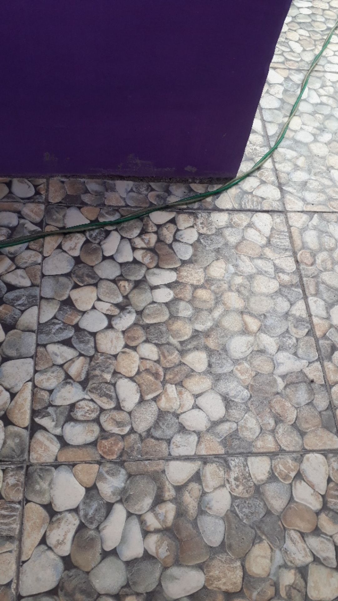 Wadah Kotak Penyimpanan Masker Karakter Lucu